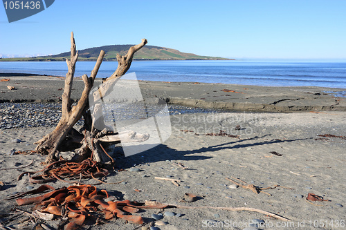 Image of New Zealand