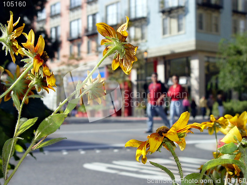 Image of Sunny day in a city