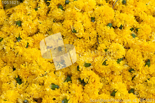 Image of flowers
