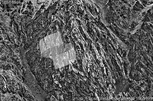 Image of Rocky
