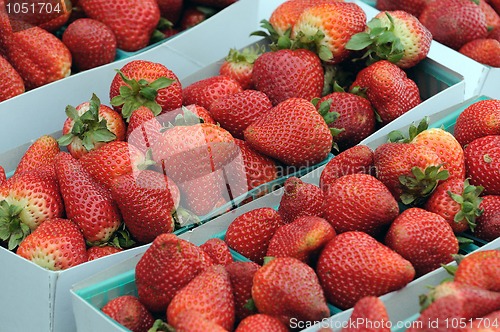 Image of Strawberries