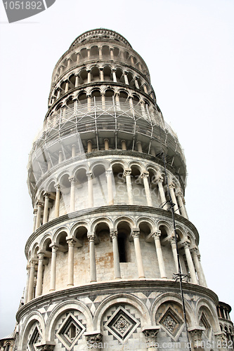 Image of Pisa
