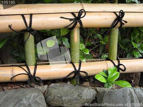Image of Japanese bamboo fence