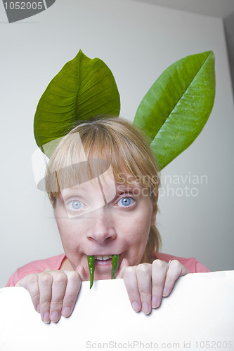 Image of Vegetarian Bunny