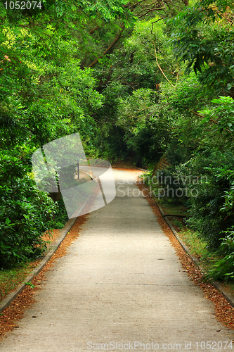 Image of Forest road