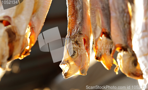 Image of Dried Fish