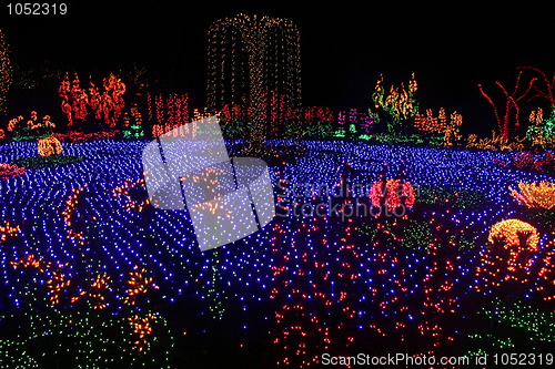 Image of Garden of Lights