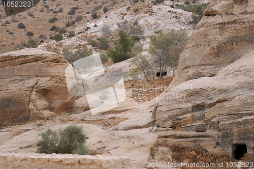 Image of In Mountains of Petra 