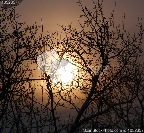 Image of winterset Dawn