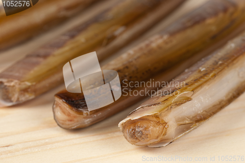 Image of Razor clams