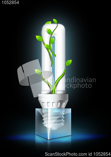 Image of Luminous Bulb With Plant