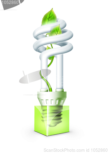 Image of Luminous Bulb With Plant