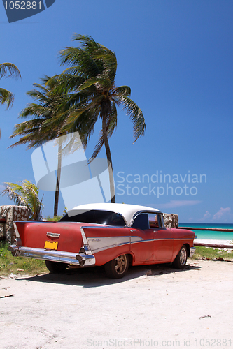 Image of Car and Palm