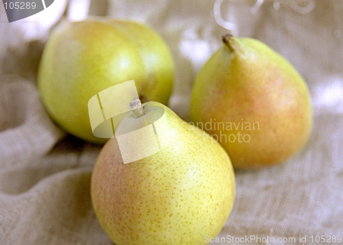 Image of Pears III