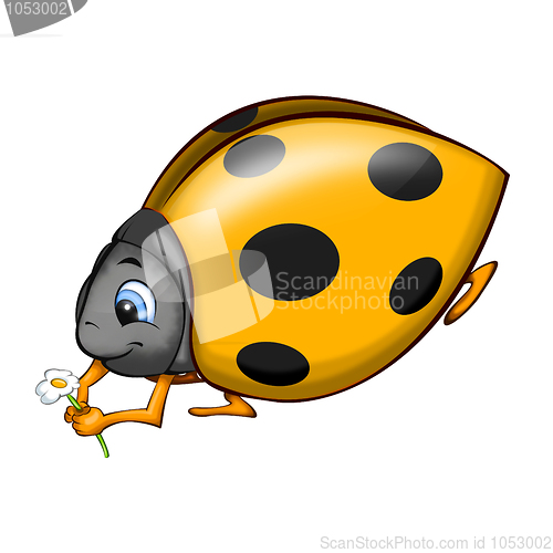 Image of Ladybird