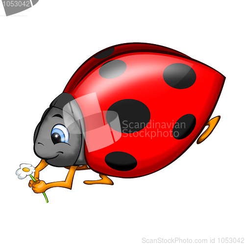 Image of Ladybird