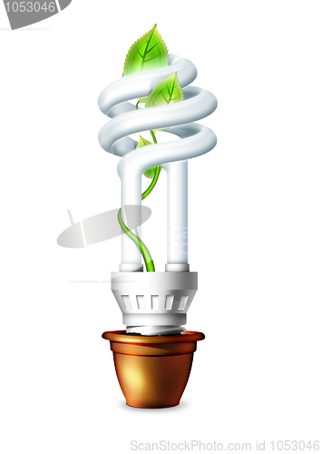 Image of Luminous Bulb With Plant