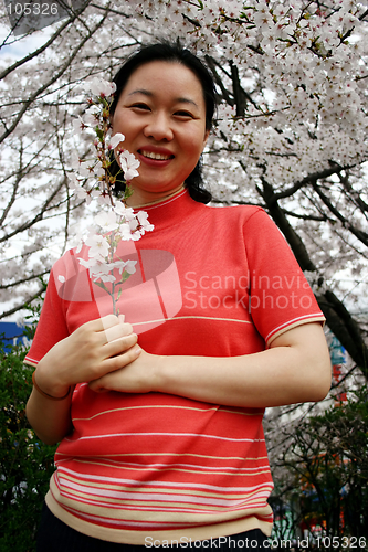 Image of Woman holding cherry blossoms