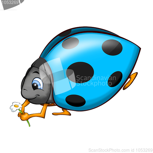 Image of Ladybird