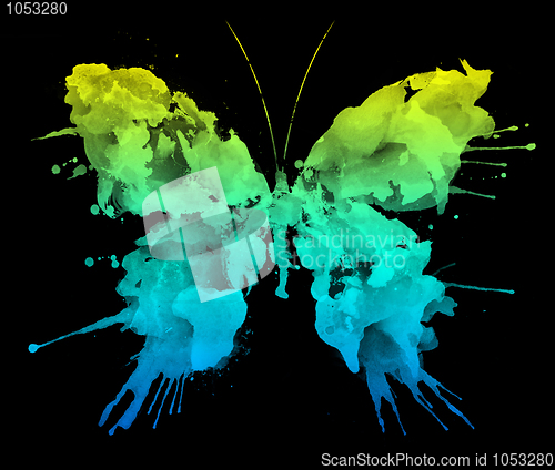 Image of Butterfly