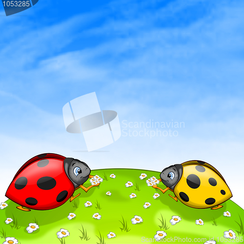 Image of Ladybird
