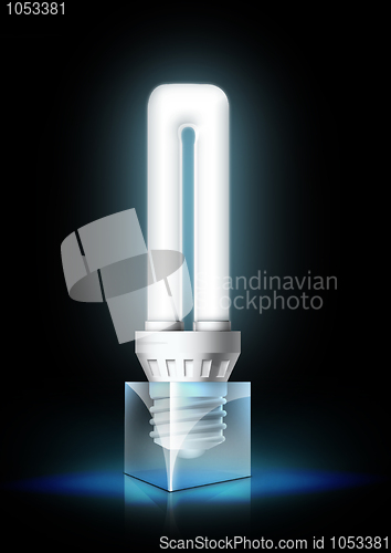 Image of Luminous Bulb 