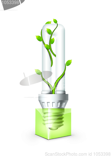 Image of Luminous Bulb With Plant