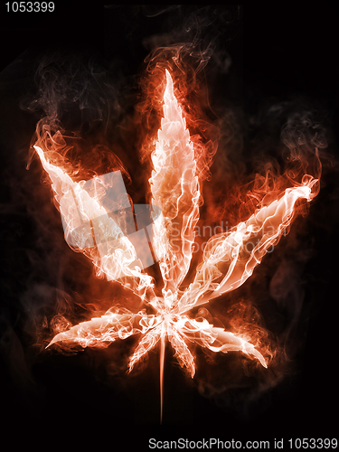 Image of Marijuana in Fire