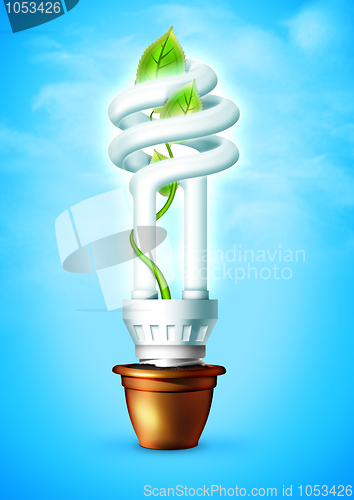 Image of Luminous Bulb With Plant