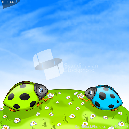 Image of Ladybird