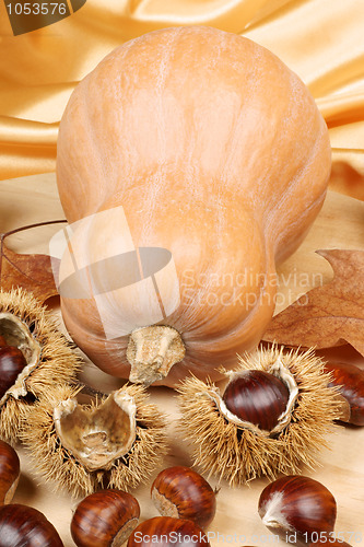 Image of Pumpkin and chestnuts