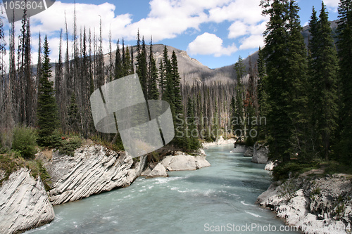 Image of Kootenay National Park