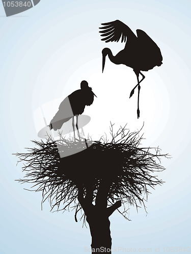 Image of Betrothal storks