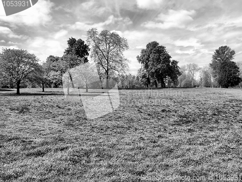 Image of Hyde Park, London