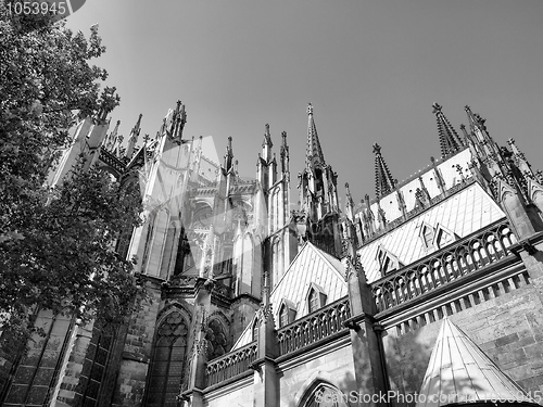 Image of Koeln Cathedral