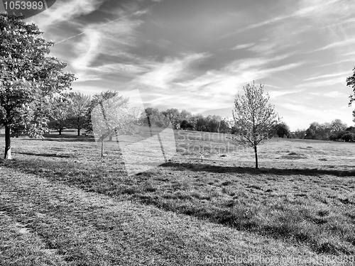 Image of Primrose Hill, London