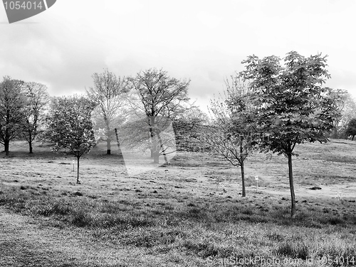 Image of Primrose Hill, London