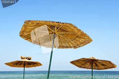 Image of Summer parasols