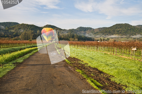 Image of Balloons