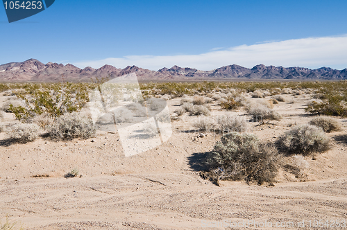 Image of Desert