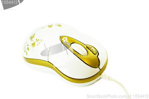 Image of Mouse