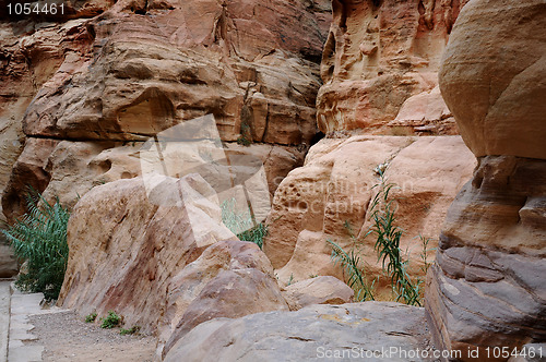 Image of In Siq Canyon at Petra