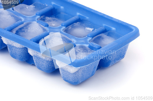 Image of Frozen Ice Cube Tray