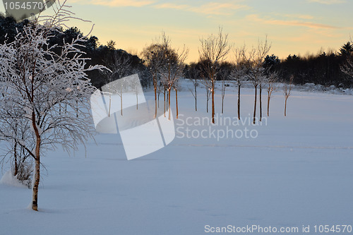 Image of Sola golfbane en vinterdag