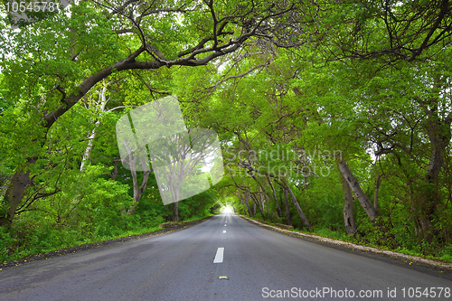 Image of Road on Curacao