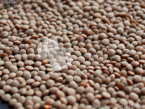 Image of Lentils