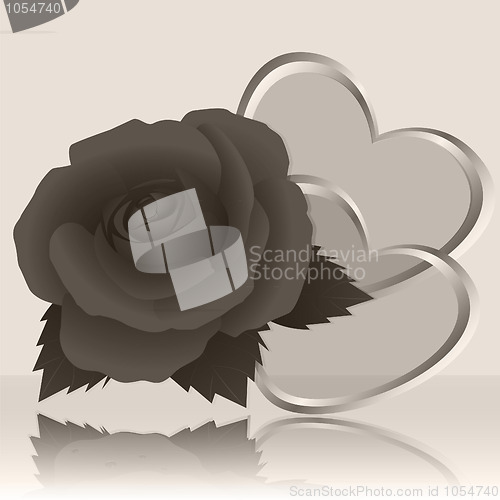Image of Rose and gray background