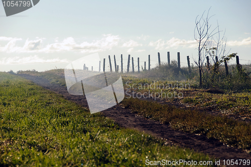 Image of Green field with dew