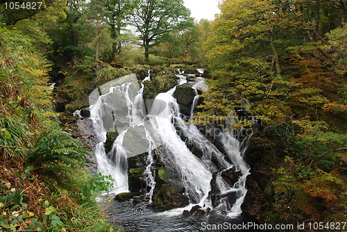 Image of Waterfall in forest