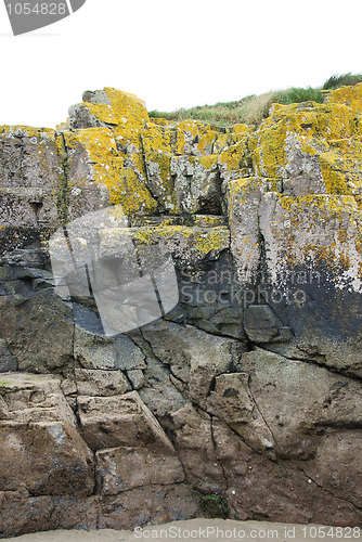 Image of Yellow lichen on cracked rock